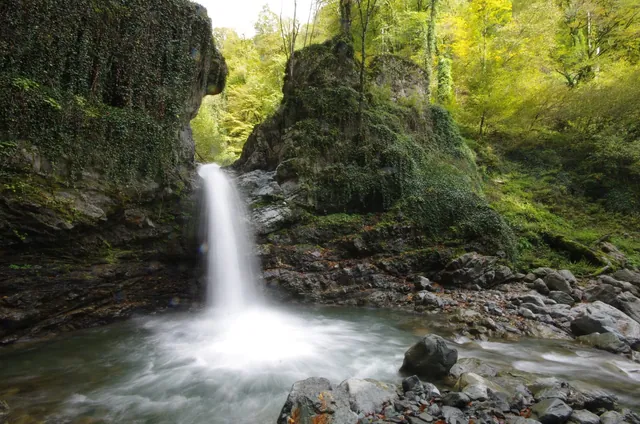 Lagodekhi Nature Reserve: Trails and How to Get There