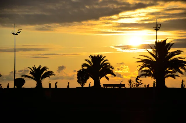Batumi promenade in summer