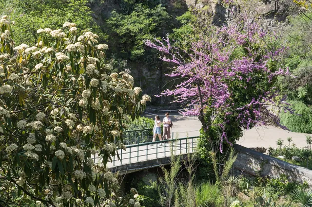 Tbilisi Botanical Garden in spring